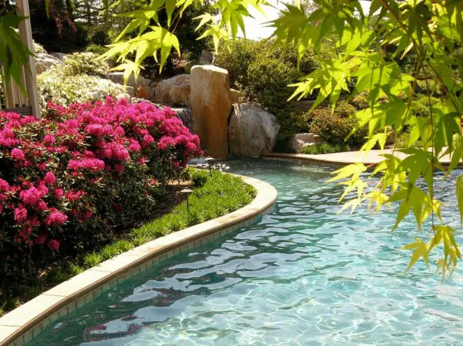 Gardening begins in January!_featured_image