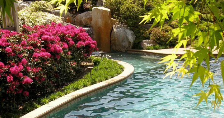 Gardening Begins In January! 17 Gardening Begins In January! 247923400 6719557238062059 3164048669874679899 N