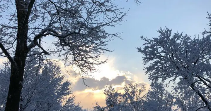 All That Is Gold 5 All That Is Gold 256923516 6719262641424852 2608266993413438062 N