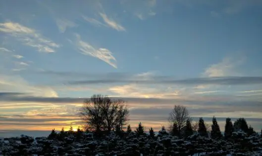 This winter morning_featured_image
