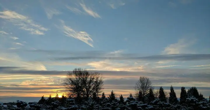 This Winter Morning 3 This Winter Morning 257101223 6719996528018130 7499992645510905393 N