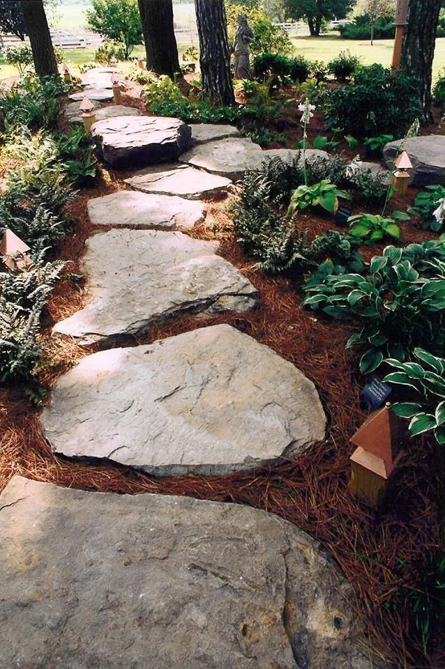 Gardening Begins In January! 4 Gardening Begins In January! 257279364 6719555164728933 3377154286713641452 N