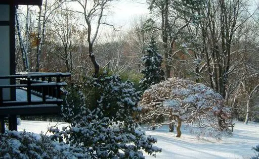 January is the Quietest Month_featured_image