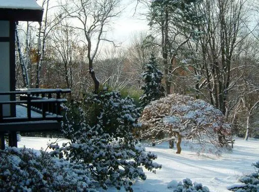 January Is The Quietest Month 257459901 6719438221407294 6944719365356853915 N