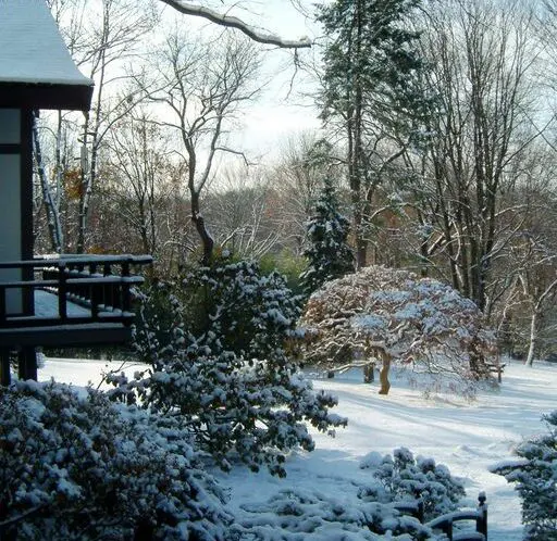 January is the Quietest Month_featured_image