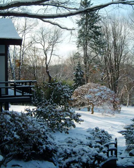 January Is The Quietest Month 1 January Is The Quietest Month 257459901 6719438221407294 6944719365356853915 N