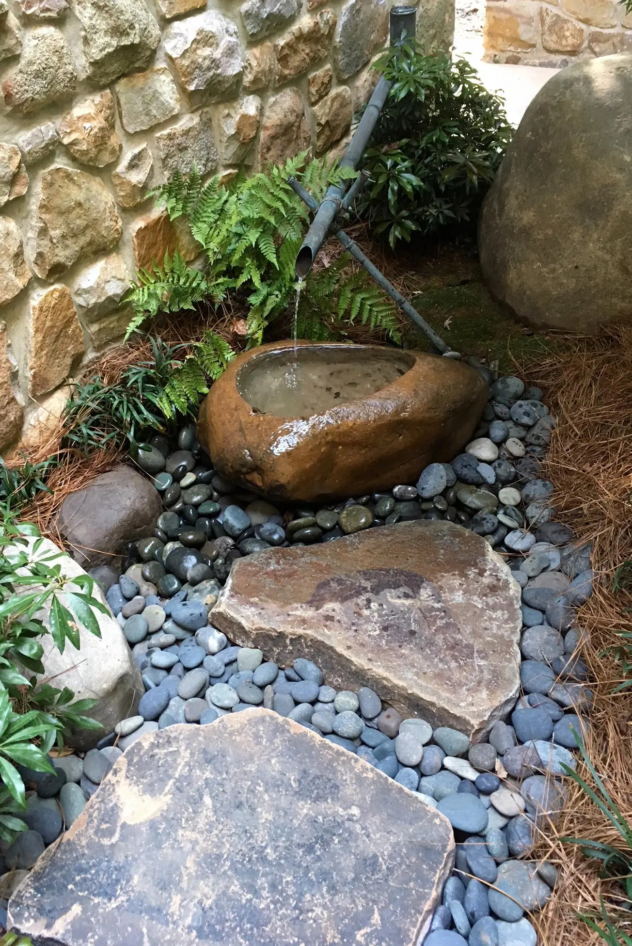 Tiny Courtyard Garden Delivers Enormous Delight! 2 Tiny Courtyard Garden Delivers Enormous Delight! 256767010 6719919461359170 1543205336219510683 N