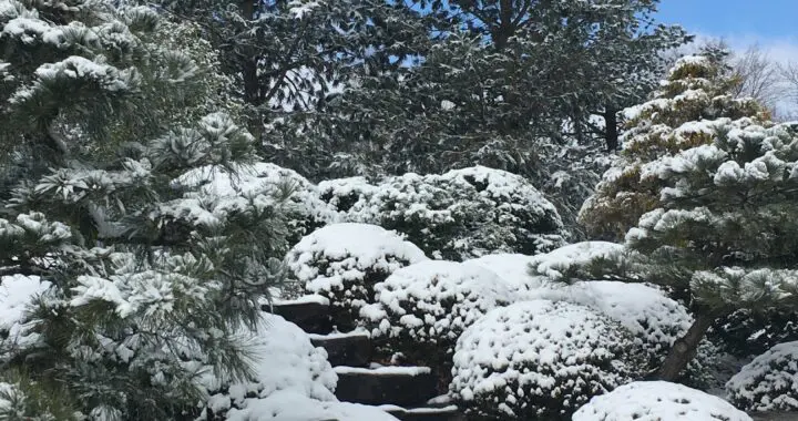 The Color Of Springtime Is In The Flowers, The Color Of Winter Is In The Imagination 6 The Color Of Springtime Is In The Flowers, The Color Of Winter Is In The Imagination 257124482 6719608811390235 6745303190060797998 N