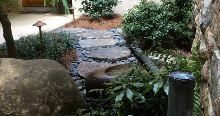 Tiny Courtyard Garden Delivers Enormous Delight! 12 Tiny Courtyard Garden Delivers Enormous Delight! 257130033 6719919248025858 3451636946105115561 N