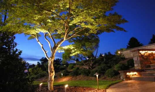 GARDENING WITH A ‘SENSE OF PLACE’ (Part 3)_featured_image