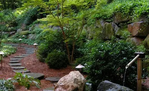 GARDENING WITH A ‘SENSE OF PLACE’ (Part 1)_featured_image