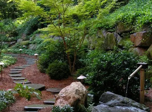 Gardening With A 'Sense Of Place' (Part 1) 271667349 7065561943461585 5392101475475337750 N