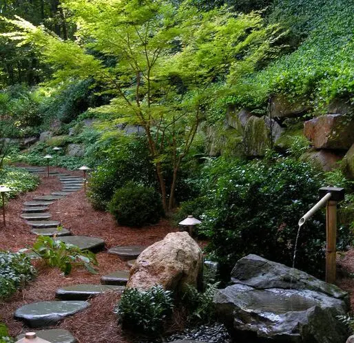 GARDENING WITH A ‘SENSE OF PLACE’ (Part 1)_featured_image