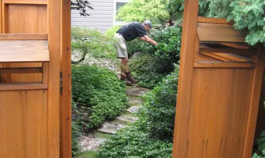 GARDENING WITH A ‘SENSE OF PLACE’ (Part 2)_featured_image