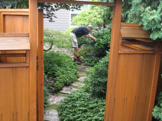 GARDENING WITH A ‘SENSE OF PLACE’ (Part 2)_featured_image