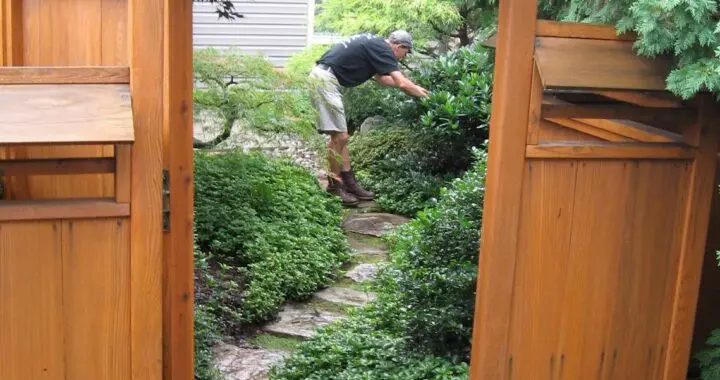 Gardening With A 'Sense Of Place' (Part 2) 15 Gardening With A 'Sense Of Place' (Part 2) 271703738 7065585433459236 3846808131563953195 N