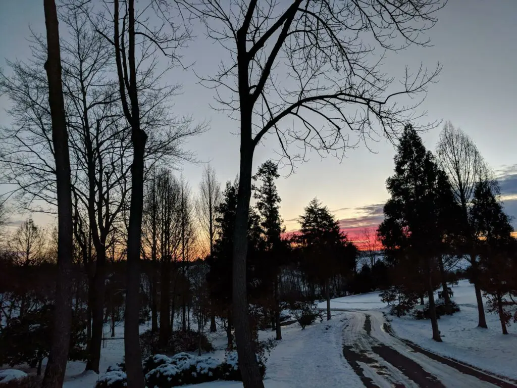 The Glory Of A Winter Day 1 The Glory Of A Winter Day 271971577 7127519673932478 8842411251282055856 N