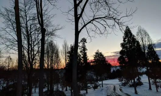 The Glory of a Winter Day_featured_image