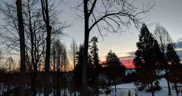 The Glory Of A Winter Day 4 The Glory Of A Winter Day 271971577 7127519673932478 8842411251282055856 N