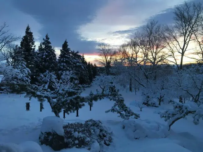 WINTER GARDENING_featured_image