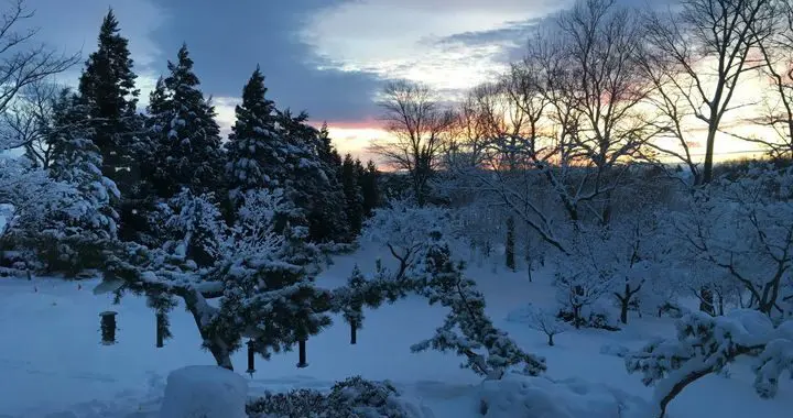 Winter Gardening 18 Winter Gardening 272005489 7127246327293146 7867122522865534859 N