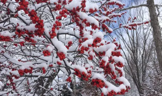 WARMING THE WORLD WITH KINDNESS_featured_image