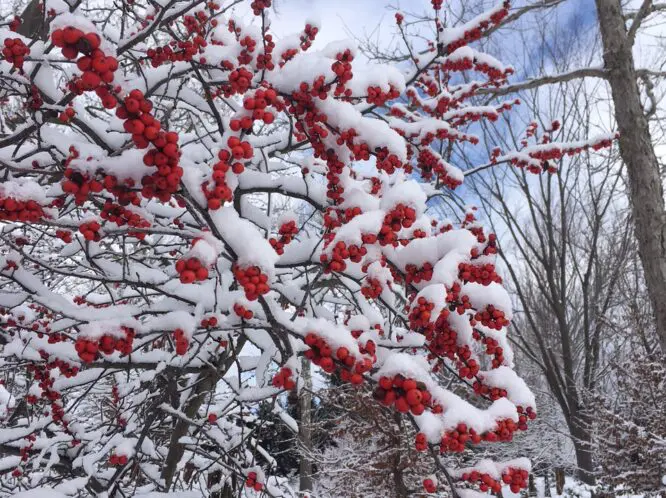 WARMING THE WORLD WITH KINDNESS_featured_image