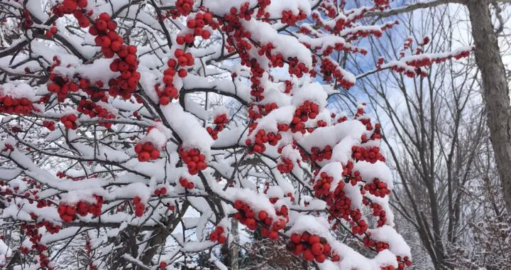 Warming The World With Kindness 272617028 7165545303463248 1312343748019164183 N
