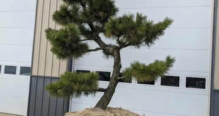 On Its Way! 11 On Its Way! 272247615 7166216973396081 2056238685078064883 N