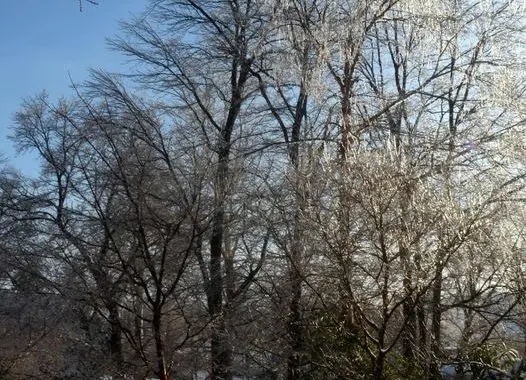 Winter'S Severe Artistry 13 Winter'S Severe Artistry 272529386 7166017076749404 3781759534083433122 N