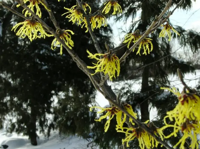 One of those March Days_featured_image