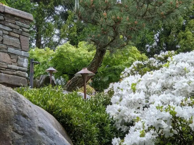 GARDEN JUXTAPOSITION REVISITED_featured_image