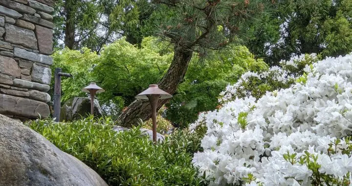 Garden Juxtaposition Revisited 273767666 7300418279975949 1258518589804330329 N