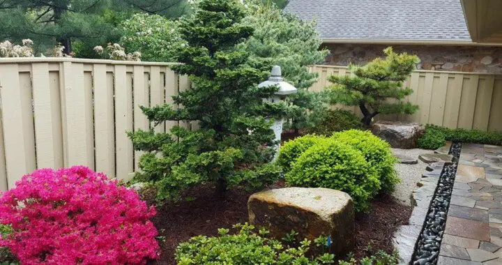 Planning A Garden That Will Last: Introduction 274095146 7338611012823342 7506908160615191721 N