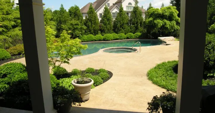 Planning A Garden That Will Last: Determine Your Garden'S Purpose And Scale 274221739 7338949486122828 4027239218750538584 N 1