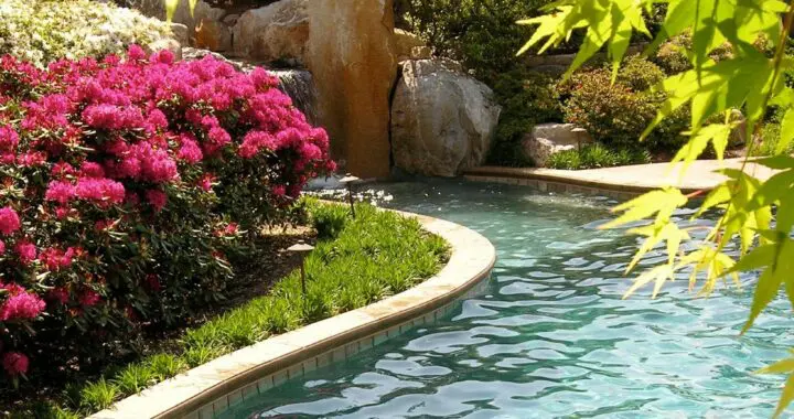 Planting A Garden That Will Last: Identify Your Inspiration 6 Planting A Garden That Will Last: Identify Your Inspiration 274334754 7338680819483028 7772310811439878655 N