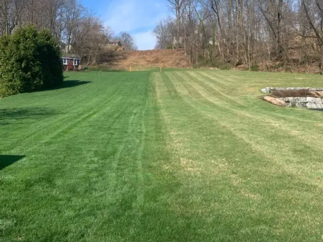THIS TIME, THE GRASS IS GREENER ON “OUR SIDE OF THE FENCE”_featured_image