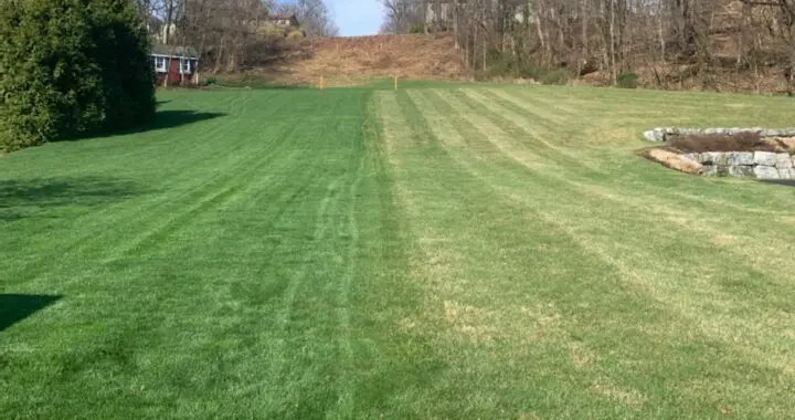 This Time, The Grass Is Greener On &Quot;Our Side Of The Fence&Quot; 13 This Time, The Grass Is Greener On &Quot;Our Side Of The Fence&Quot; 278235889 7565883393429435 3984795944689643651 N