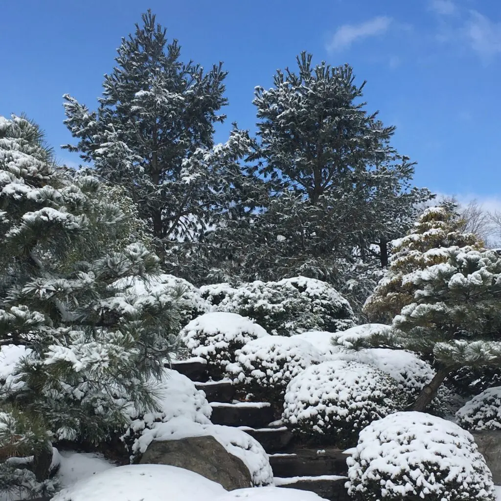 Planning A Garden That Will Last: Make Seasonal Decisions 4 Planning A Garden That Will Last: Make Seasonal Decisions 274713377 7440489959302113 5335723532000309065 N