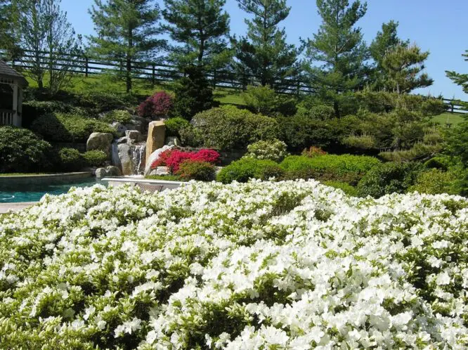 PLANNING A GARDEN THAT WILL LAST: Make Seasonal Decisions_featured_image