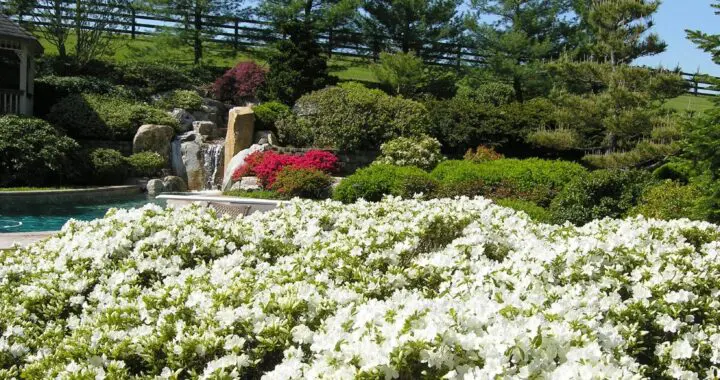 Planning A Garden That Will Last: Make Seasonal Decisions 6 Planning A Garden That Will Last: Make Seasonal Decisions 275393000 7440474635970312 3777171308997296051 N