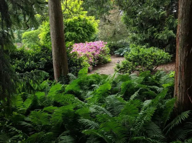 PLANNING A GARDEN THAT WILL LAST: Plant for Tomorrow_featured_image