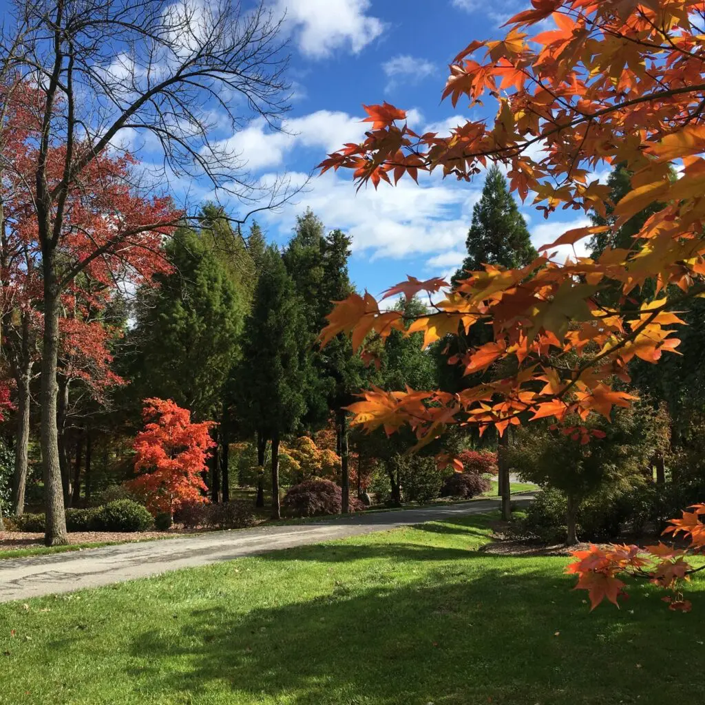 Planning A Garden That Will Last: Make Seasonal Decisions 1 Planning A Garden That Will Last: Make Seasonal Decisions 275746980 7440483139302795 7999476182084116242 N