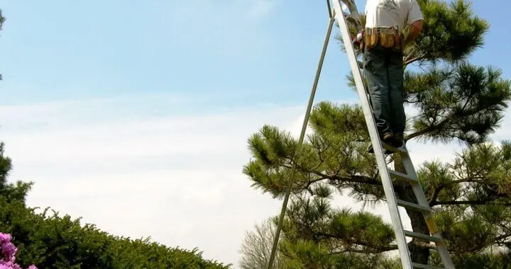 Planning A Garden That Will Last: Care For Your Garden Investment 3 Planning A Garden That Will Last: Care For Your Garden Investment 275752392 7440835245934251 348539717432493124 N