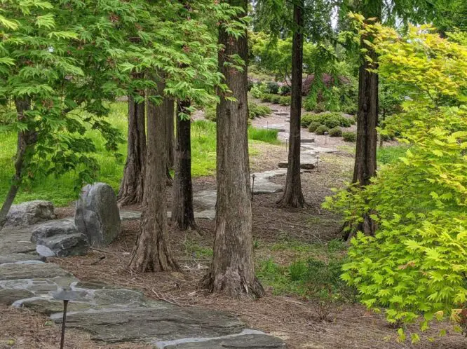WALK WITH NATURE_featured_image