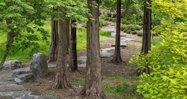 Walk With Nature 2 Walk With Nature 276286241 7472305042787271 521463698760385299 N 1