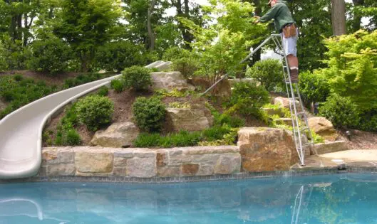 THE PRIORITIES OF GOOD PRUNING_featured_image