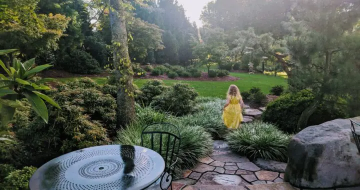 Gardening For Children 4 Gardening For Children 282863174 7760018964015876 8538529393338470527 N