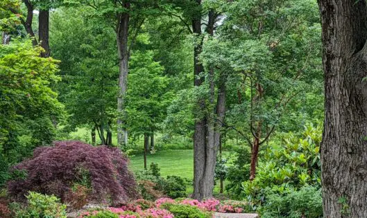 WANNA GET AWAY? STEP OUTSIDE!_featured_image