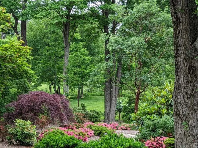 WANNA GET AWAY? STEP OUTSIDE!_featured_image